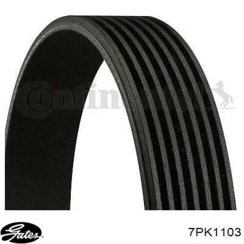 Клиновий ремінь Denckermann 7PK1105 ціна, від 11.27 USD