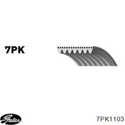Купити 7PK1105 Denckermann Ремінь генератора