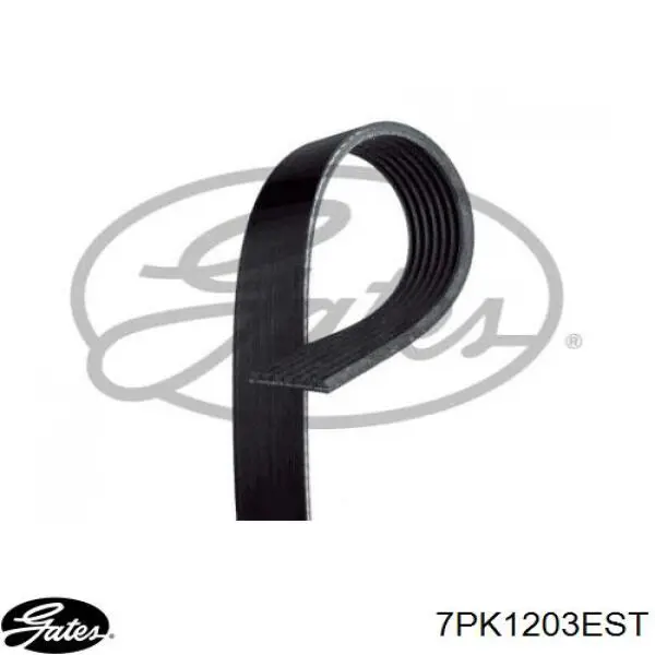 Клиновий ремінь Renault (RVI) 7PK1203EST ціна, від 15.24 USD