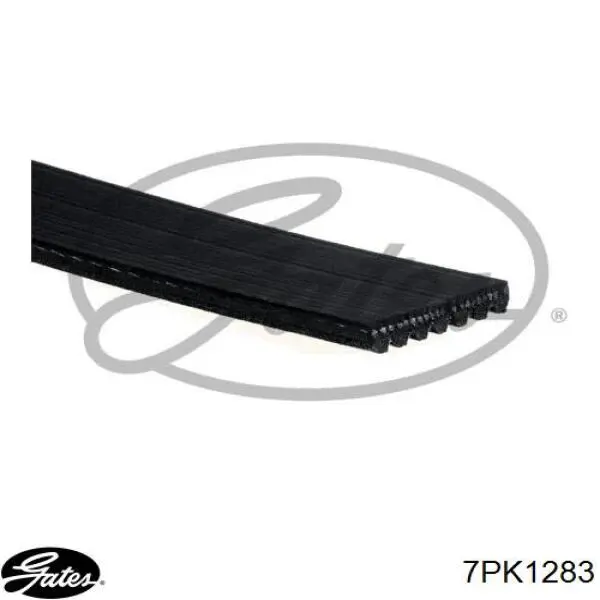 Клиновий ремінь QUINTON HAZELL QBR71283 ціна, від 15.38 USD