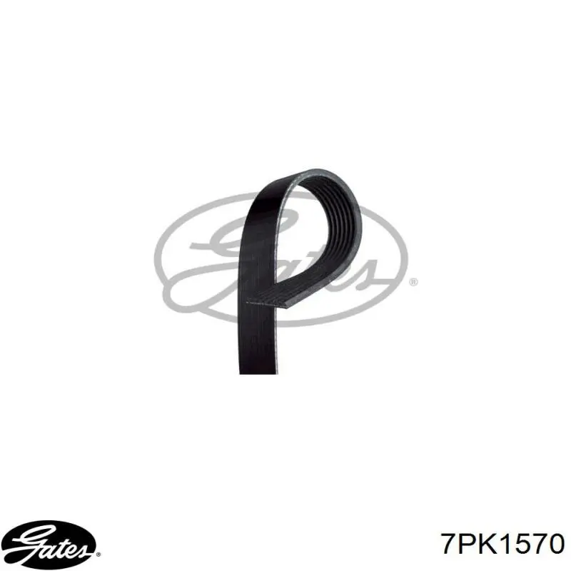 Клиновий ремінь Febi 177663 ціна, від 20.02 USD
