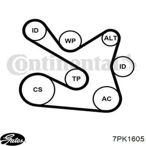 7PK1610 Gates Поліклиновий ремінь