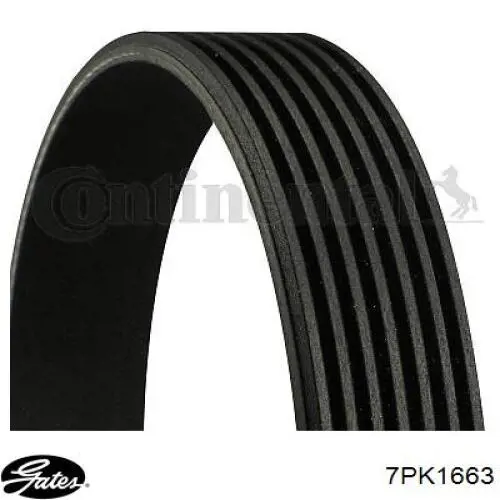 Клиновий ремінь Gates 7PK1663 ціна, від 18.45 USD