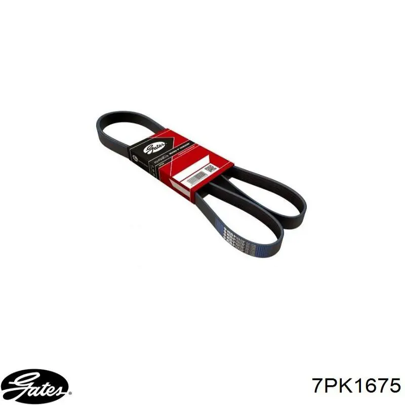 Купити 7PK1675 BGA Ремінь генератора