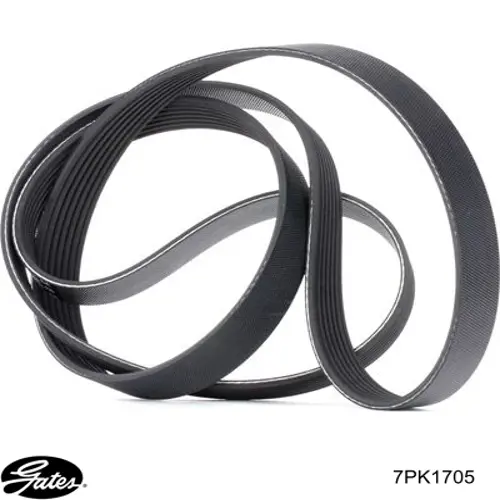 Клиновий ремінь Renault (RVI) 119202462R ціна, від 18.11 USD