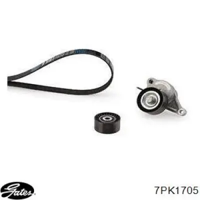 Клиновий ремінь Honda 311105AGZ01 ціна, від 18.36 USD