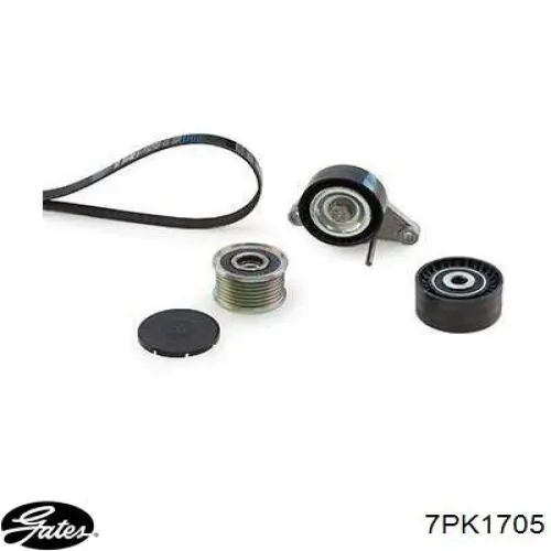 119202462R Renault (RVI) Поліклиновий ремінь