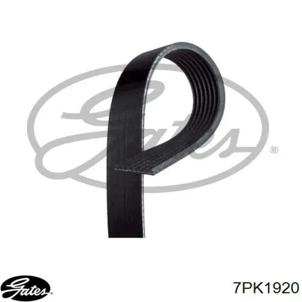 Клиновий ремінь Gates 7PK1920 ціна, від 23.75 USD