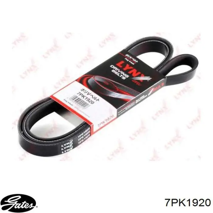 Купити 7PK1920 Gates Ремінь генератора