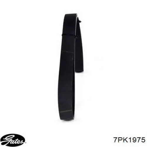 Клиновий ремінь BGA 7PK1975 ціна, від 12.23 USD