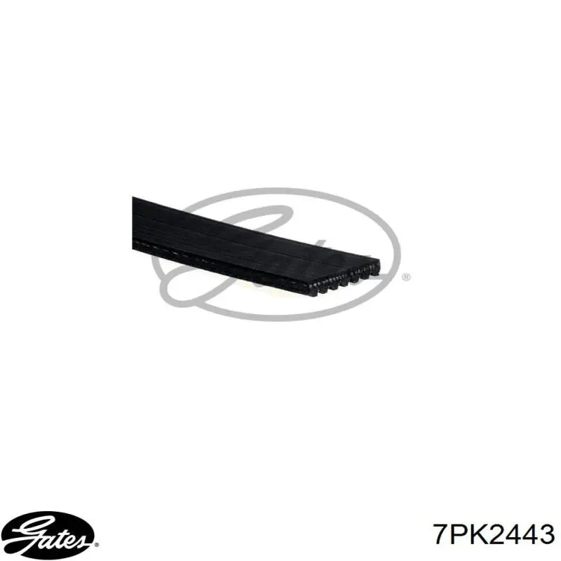 Клиновий ремінь Gates 7PK2443 ціна, від 11.44 USD