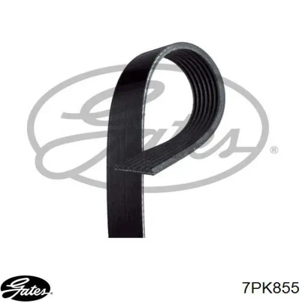 Купити 11287560487 BMW Ремінь генератора
