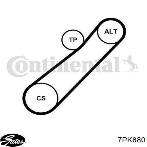 Купити 8200830184 Renault (RVI) Ремінь генератора