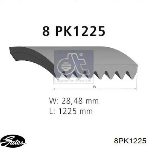 8PK1225 Gates Поліклиновий ремінь