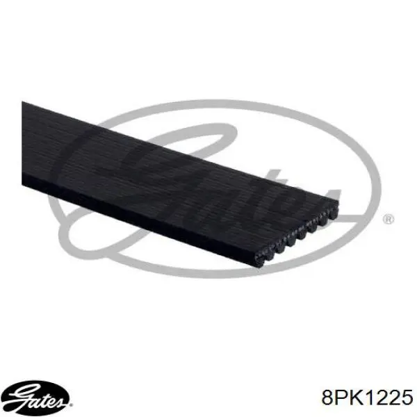 RF7L15909 Mazda Поліклиновий ремінь