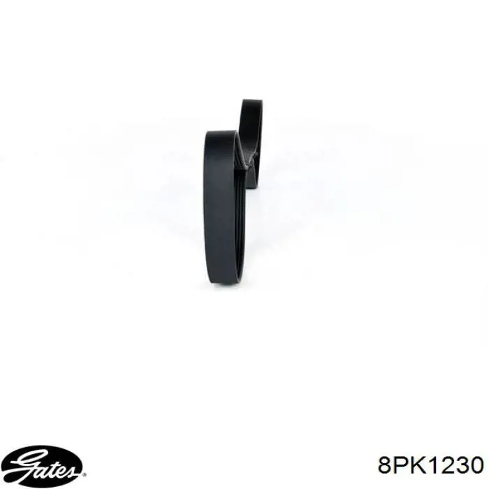 Ремінь генератора RF8G15909 Mazda