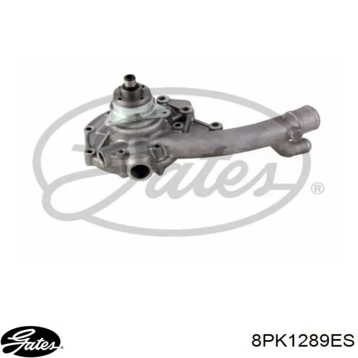Ремінь генератора RD8PK1920EPDM Rider