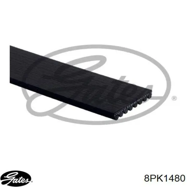 A9069970792 Mercedes Поліклиновий ремінь