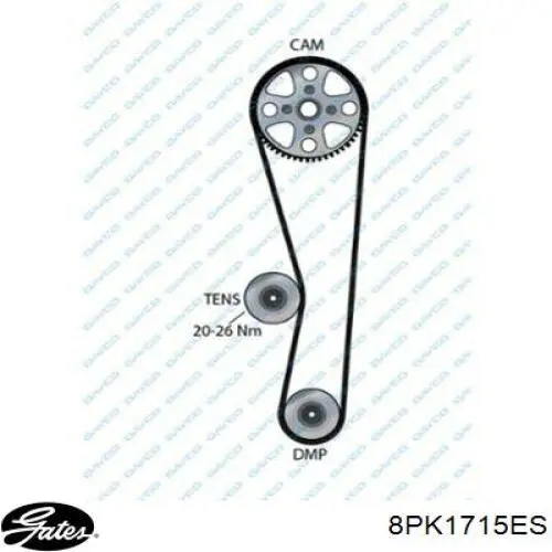 Клиновий ремінь Gates 8PK1715ES ціна, від 17.40 USD