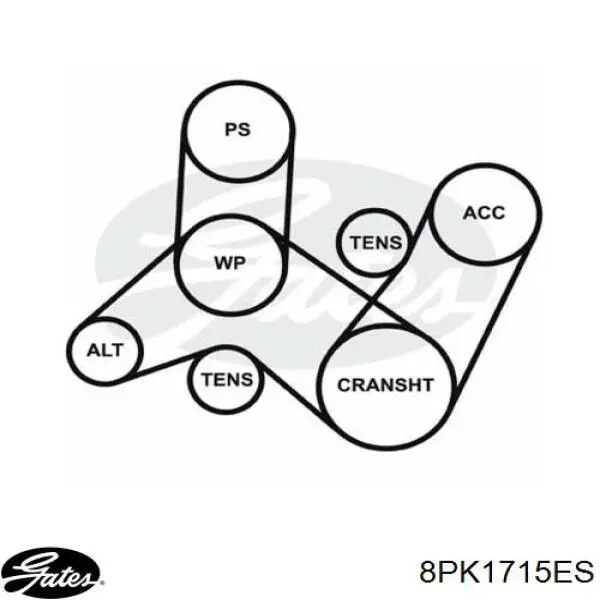 8PK1715ES Gates Поліклиновий ремінь