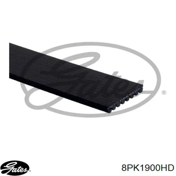 Клиновий ремінь Gates 8PK1900HD ціна, від 18.14 USD