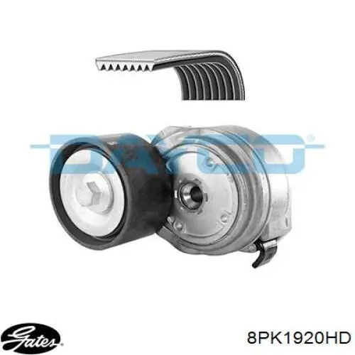 Купити RD8PK1920EPDM Rider Ремінь генератора