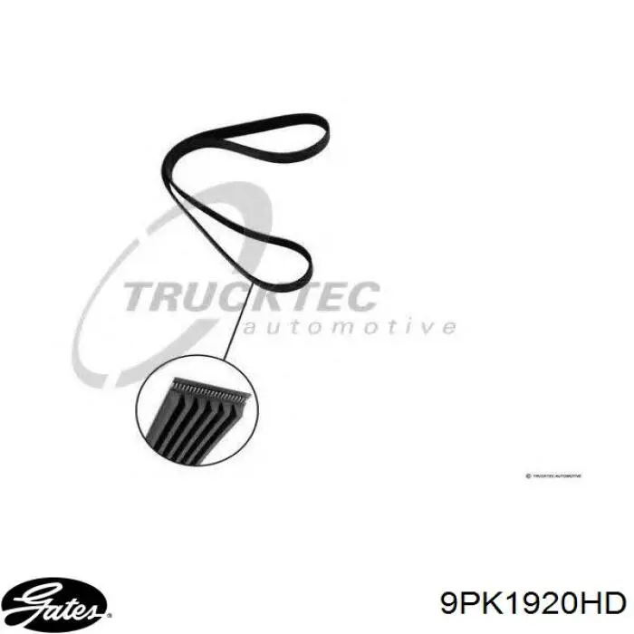 Купити A0019937196 Mercedes Ремінь генератора