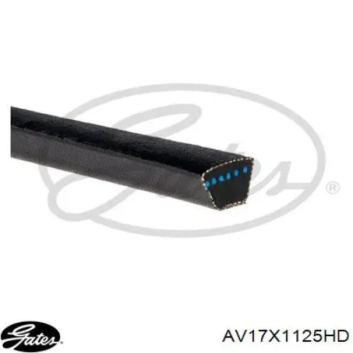 Клиновий ремінь Gates AV17X1125HD ціна, від 8.58 USD