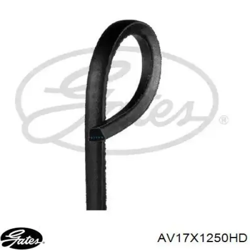 Клиновий ремінь Gates AV17X1250HD ціна, від 17.44 USD