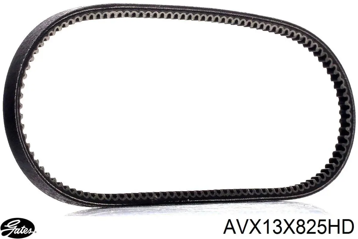 Клиновий ремінь Starline SR13X825 ціна, від 3.08 USD