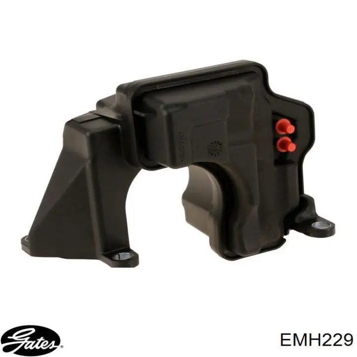  EMH229 Gates
