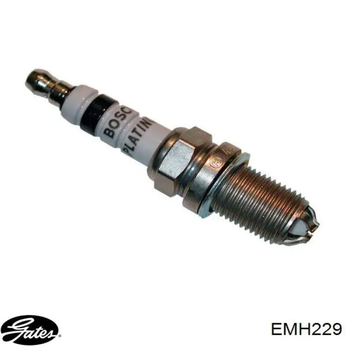  EMH229 Gates