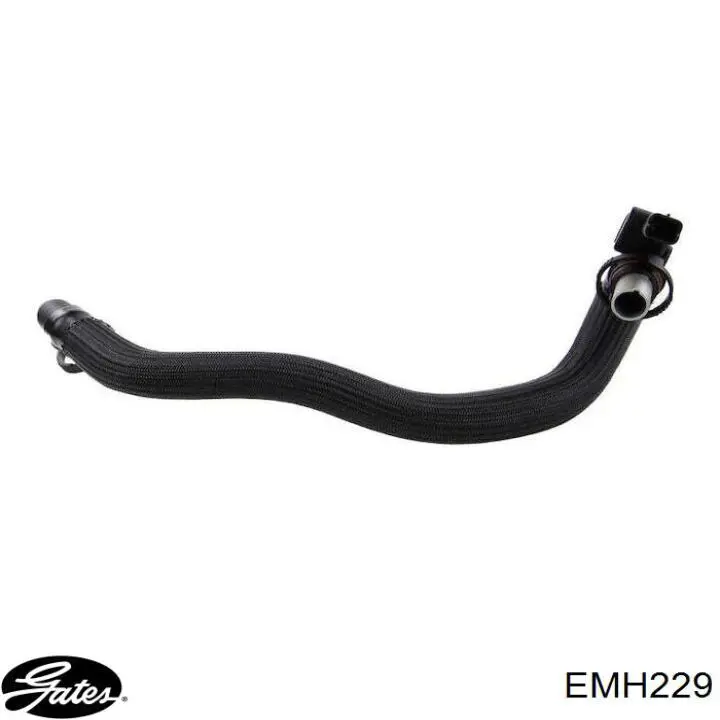 EMH229 Gates 