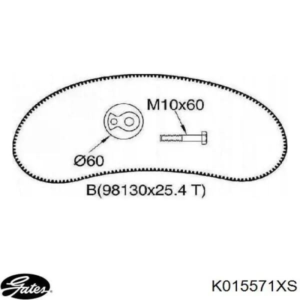 Купити K015571XS Gates ГРМ ремень