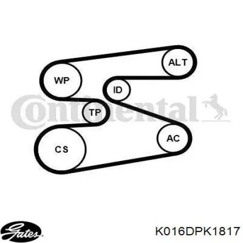 Купити K016DPK1817 Gates Ремінь приводний, агрегатів, комплект
