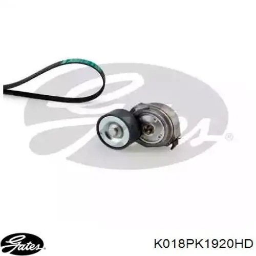 Купити K018PK1920HD Gates Ремінь приводний, агрегатів, комплект
