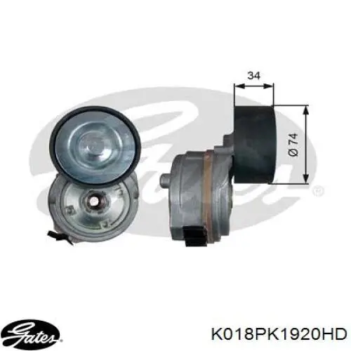 Купити K018PK1920HD Gates Ремінь приводний, агрегатів, комплект