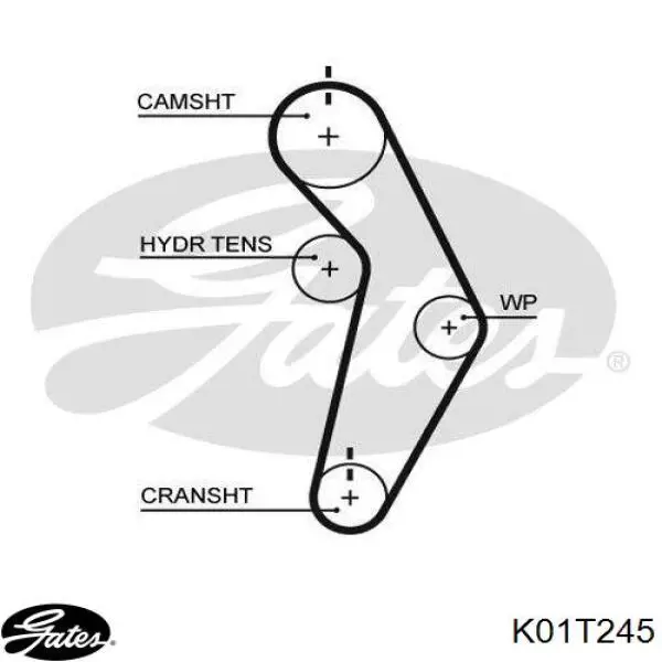 Купити K01T245 Gates ГРМ ремень