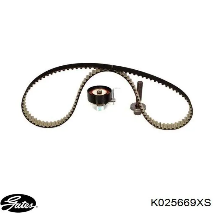 Комплект ГРМ BKCD0814 Bugatti