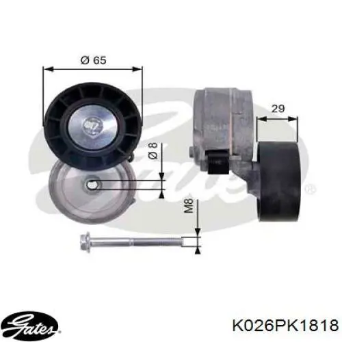 Ремінь приводний, агрегатів, комплект Autlog KK2000 ціна, від 56.63 USD