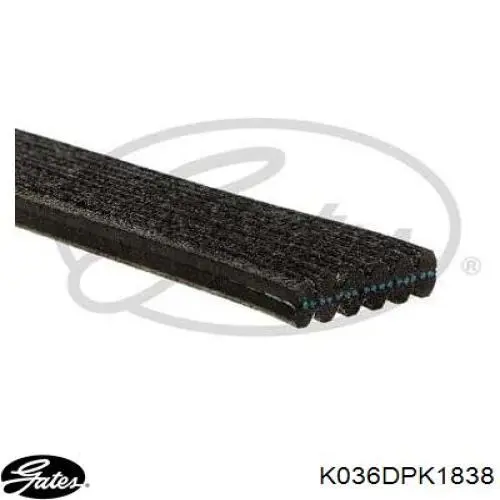 K036DPK1838 Gates Ремінь приводний, агрегатів, комплект