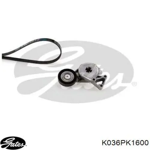 Купити K036PK1600 Gates Ремінь приводний, агрегатів, комплект