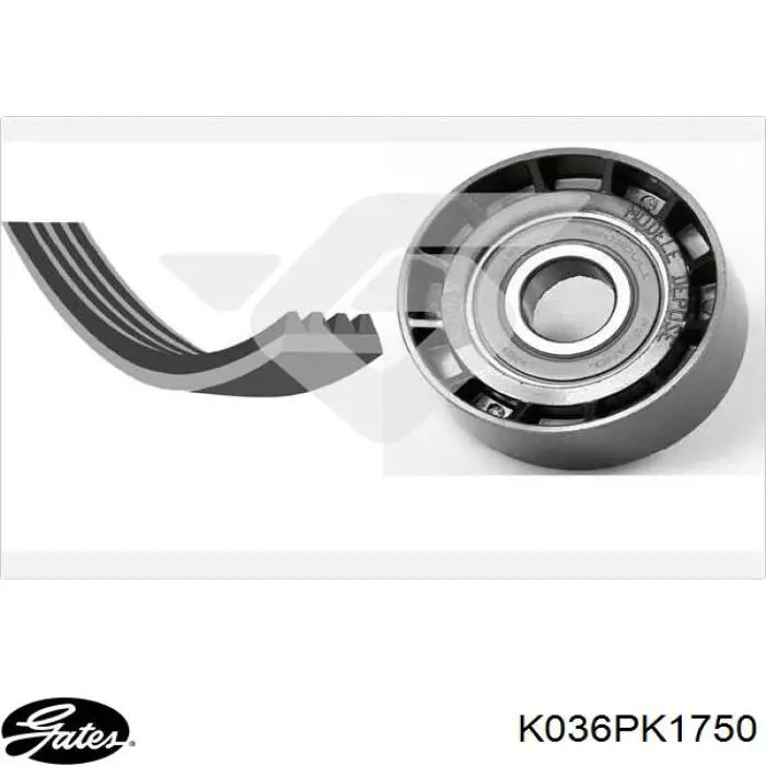 Ремінь приводний, агрегатів, комплект Continental/Siemens 6PK1750K2 ціна, від 68.36 USD