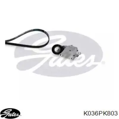 Купити 6PK800K2 Continental/Siemens Ремінь приводний, агрегатів, комплект