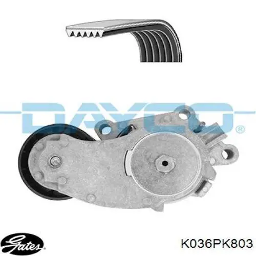 Ремінь приводний, агрегатів, комплект 6PK800K2 Continental/Siemens