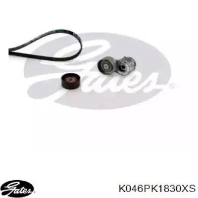 Ремінь приводний, агрегатів, комплект Renault (RVI) 117205134R ціна, від 68.67 USD