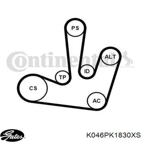 Ремінь приводний, агрегатів, комплект SKF VKMA36077 ціна, від 67.85 USD