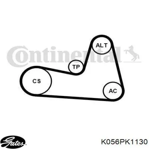 Ремінь приводний, агрегатів, комплект Renault (RVI) 7711946466