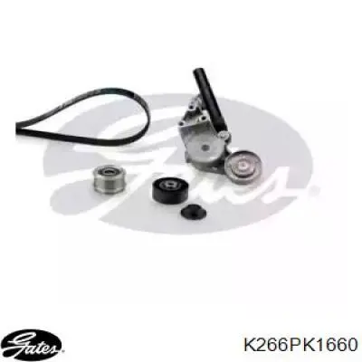 Купити VKMAF310142 SKF Ремінь приводний, агрегатів, комплект