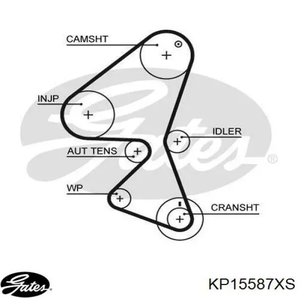 Купити 2008679 Ford ГРМ ремень